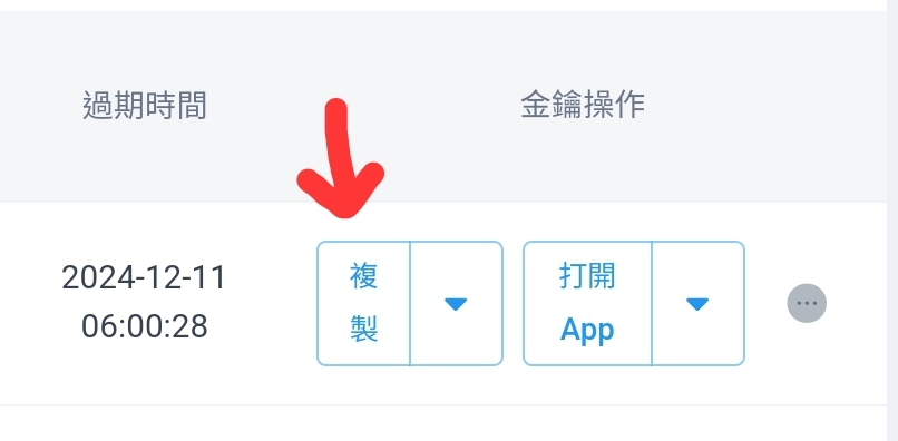 Copy API Key